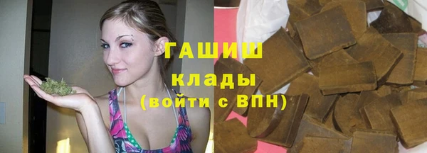 прущие грибы Заволжск