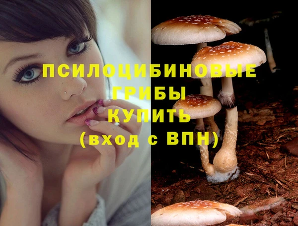 хмурый Заводоуковск