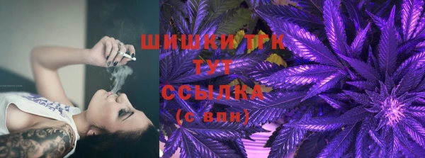прущие грибы Заволжск