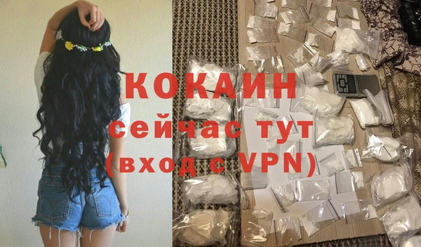 прущие грибы Заволжск