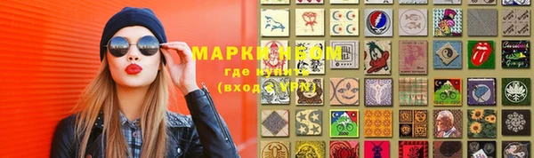 прущие грибы Заволжск