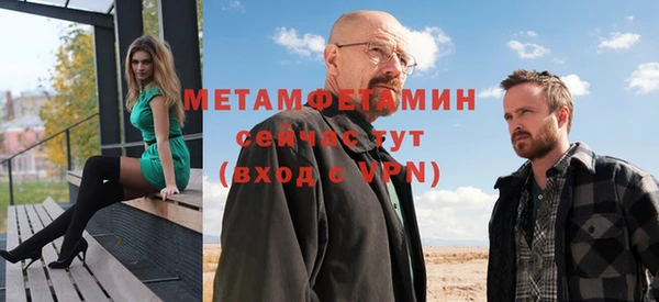 прущие грибы Заволжск