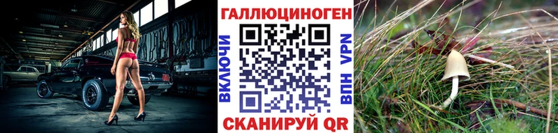 это официальный сайт  Ирбит  Псилоцибиновые грибы MAGIC MUSHROOMS 